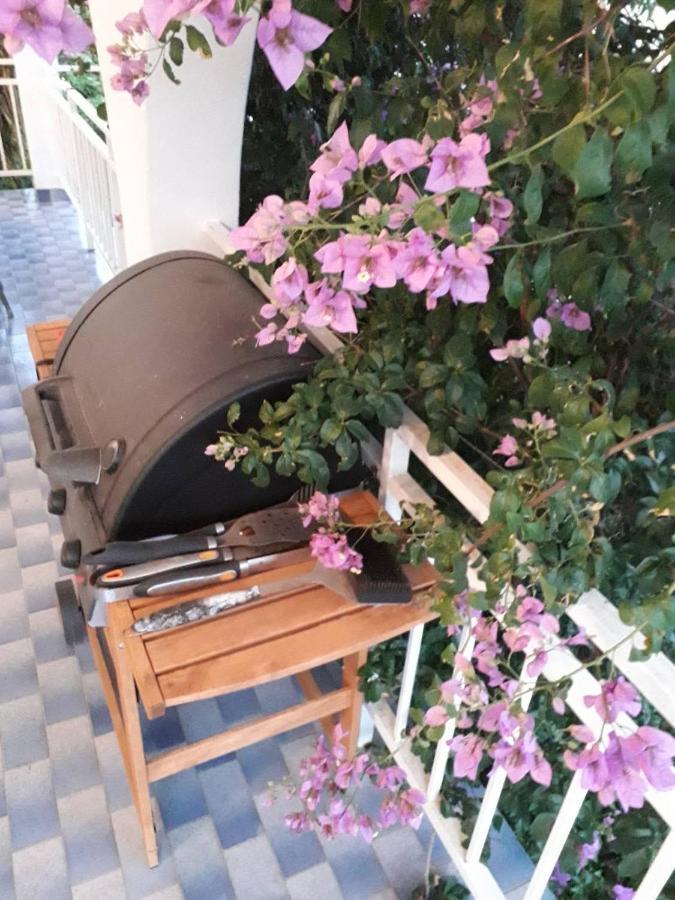 אורביץ Armstrong Apartments - Kornjaca מראה חיצוני תמונה